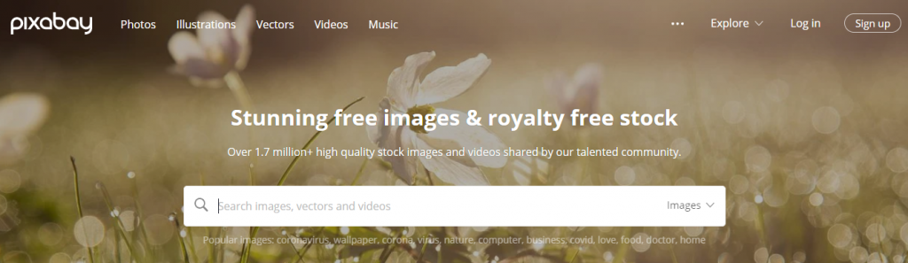 Sites Offering Free Images For Your Business